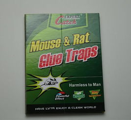 高效環保，廠家直銷——義烏綠亞環保粘鼠膠系列產品