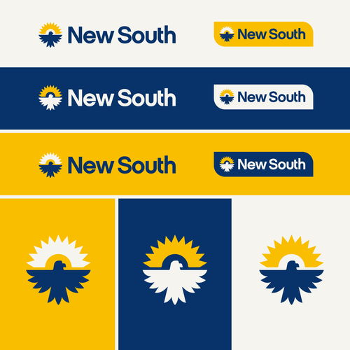 融合創(chuàng)新與自然 美國New South戶外品牌的數字廣告設計策略